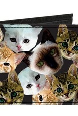Buckle Down Belts Kitten Faces Canvas Bi-Fold Wallet