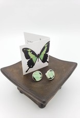 Asana Natural Arts Papilio Phorcas Post Earrings - Upper Wing Resin Silver Plate