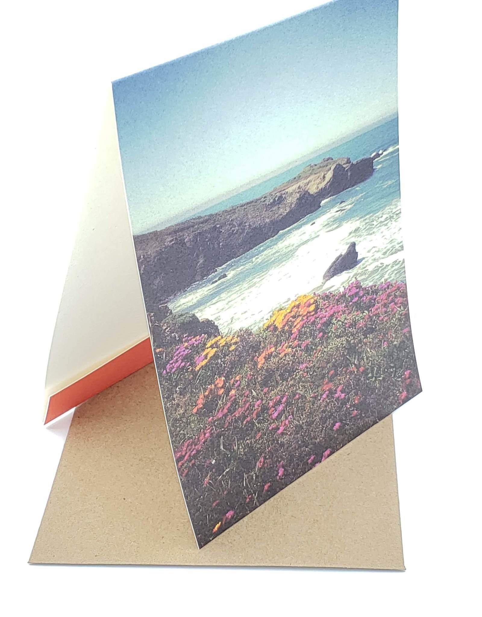 Mincing Mockingbird Rocky Shoreline Greeting Card - Modern Lore