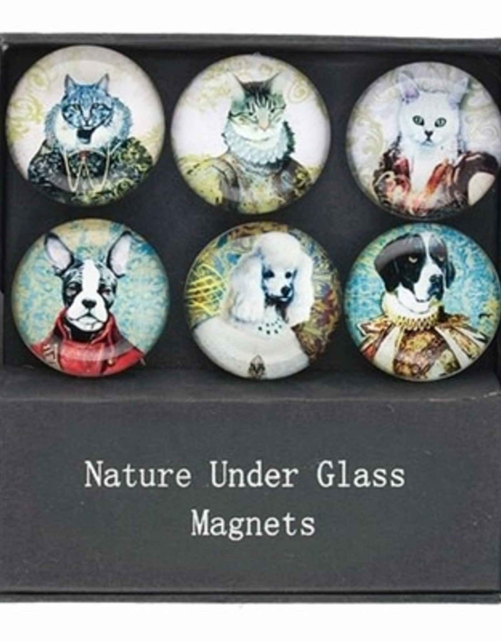 Pets in Costumes Glass Magnet Set of 6