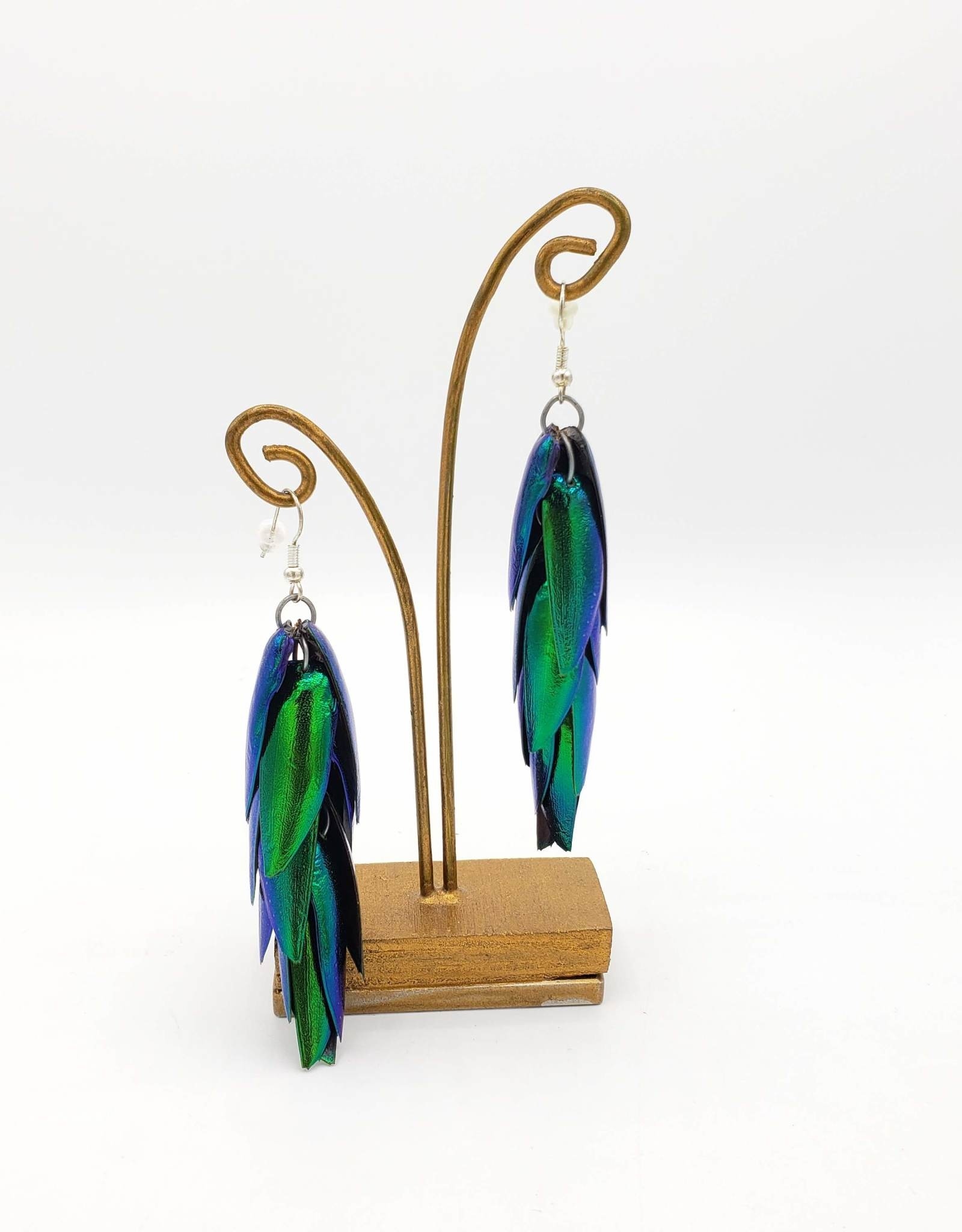 beetle wing earrings