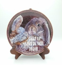 Redux "Woke Up Sexy as Hell Again" - Vintage Upcycled Plate Art