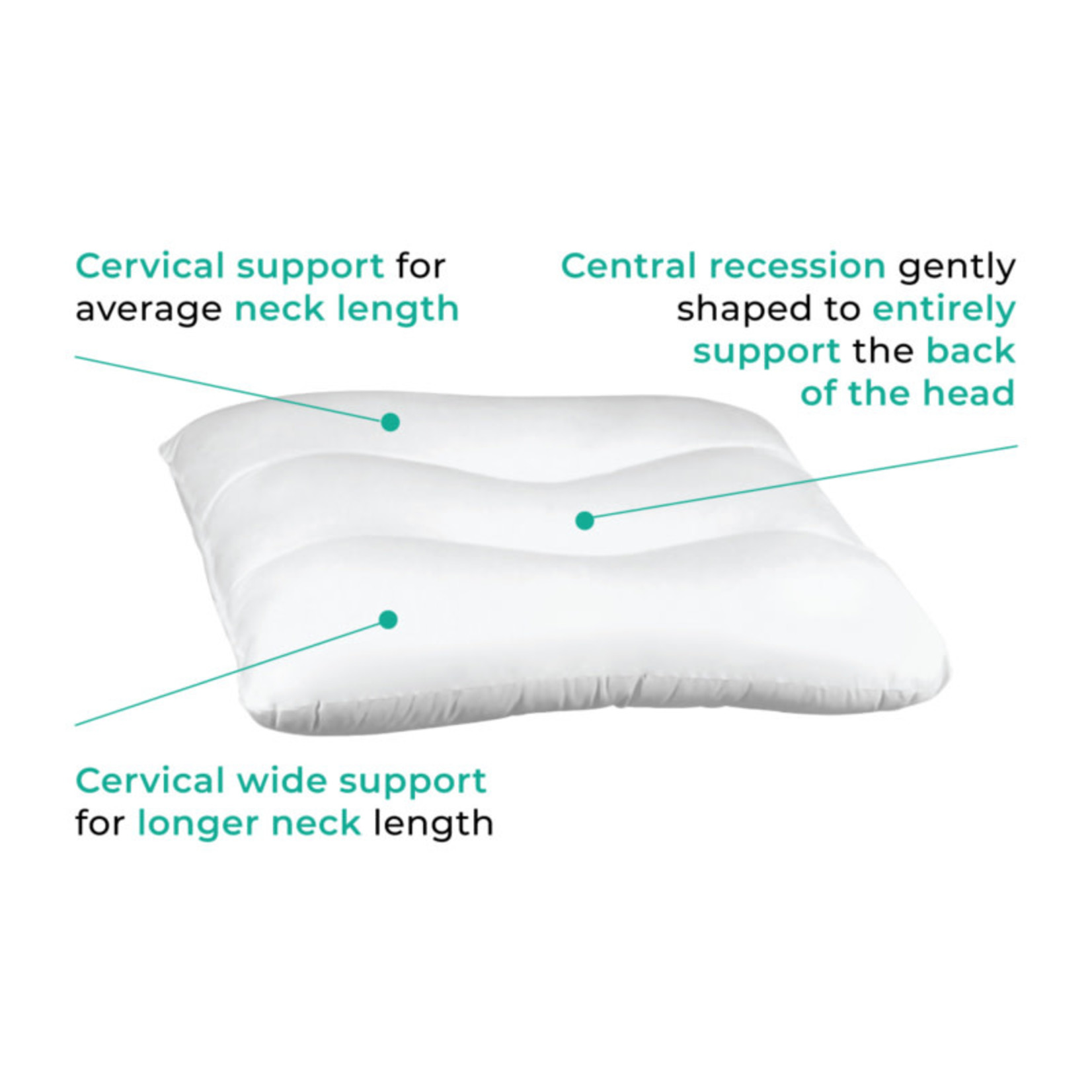 Ortho Cerv Cervical Pillow