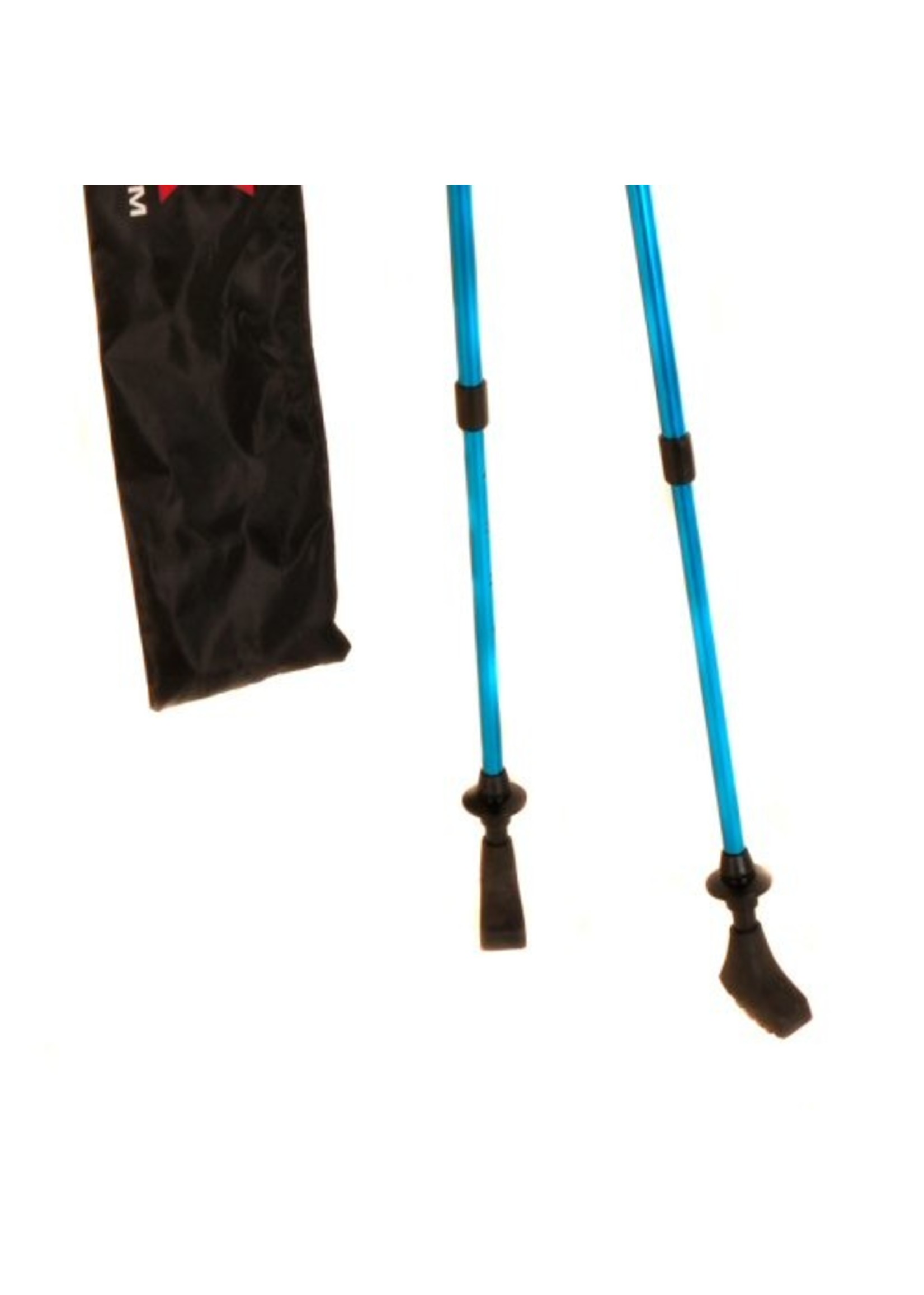 ERP Global Traveler Walking Poles (2)