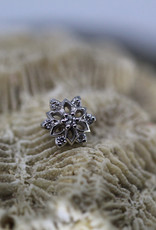 Auris WG Flower Open Petal with 6 White CZ Gemstones