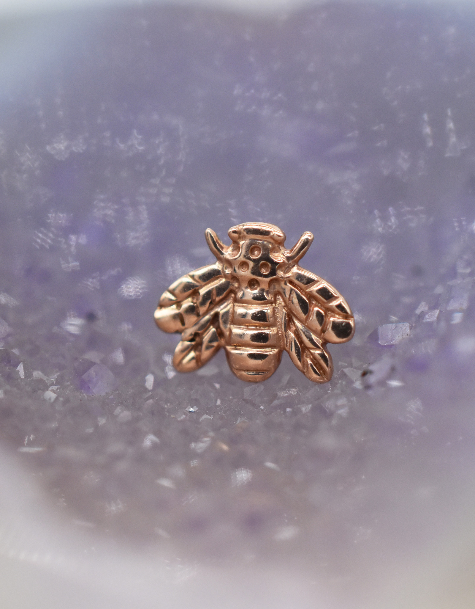 junipurr bee
