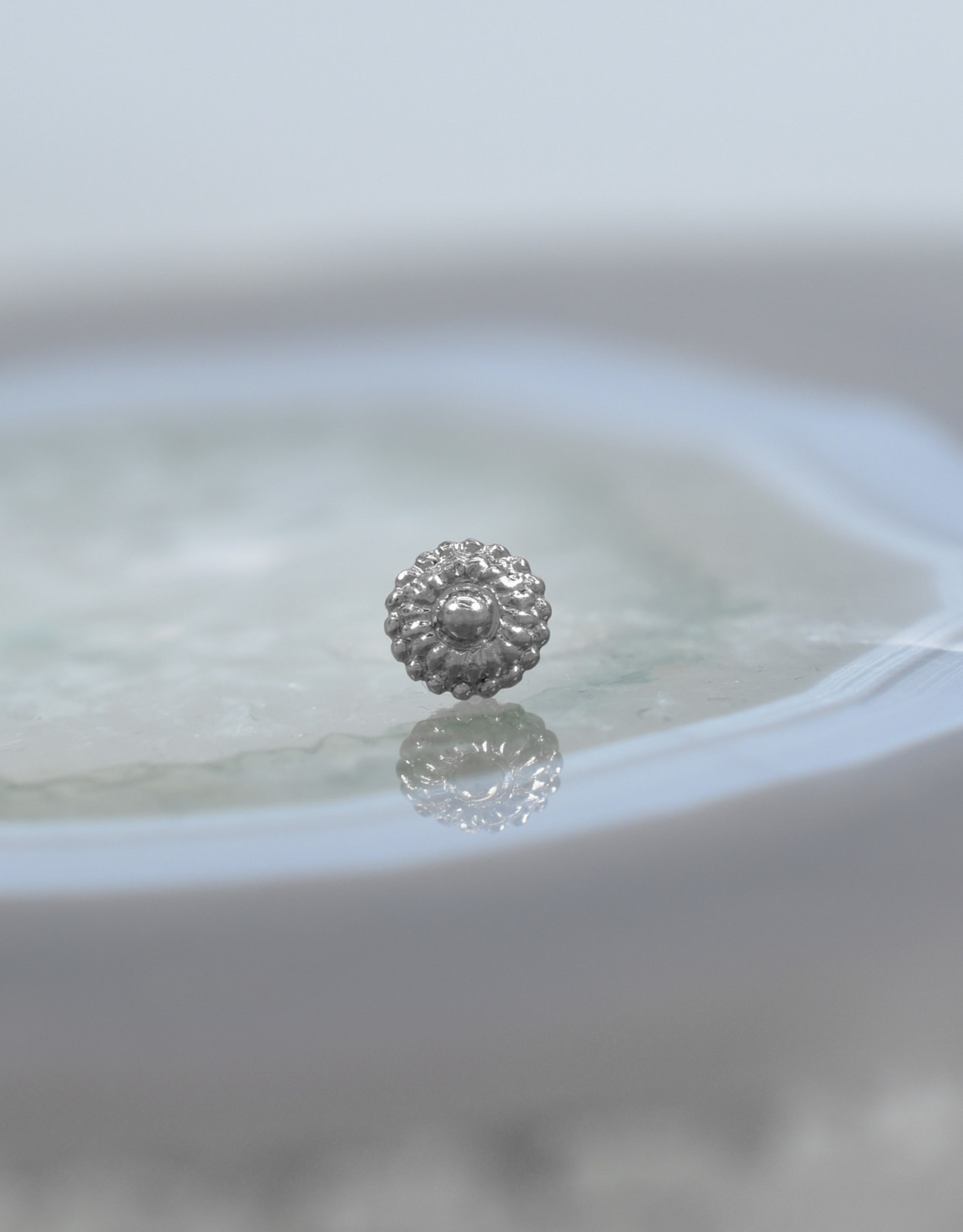 Regalia Teacher’s Salary WG Enigma Professional Piercing Adams