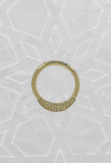 BVLA BVLA 16g 3/8” YG JANNA seam ring with Hammered Finish