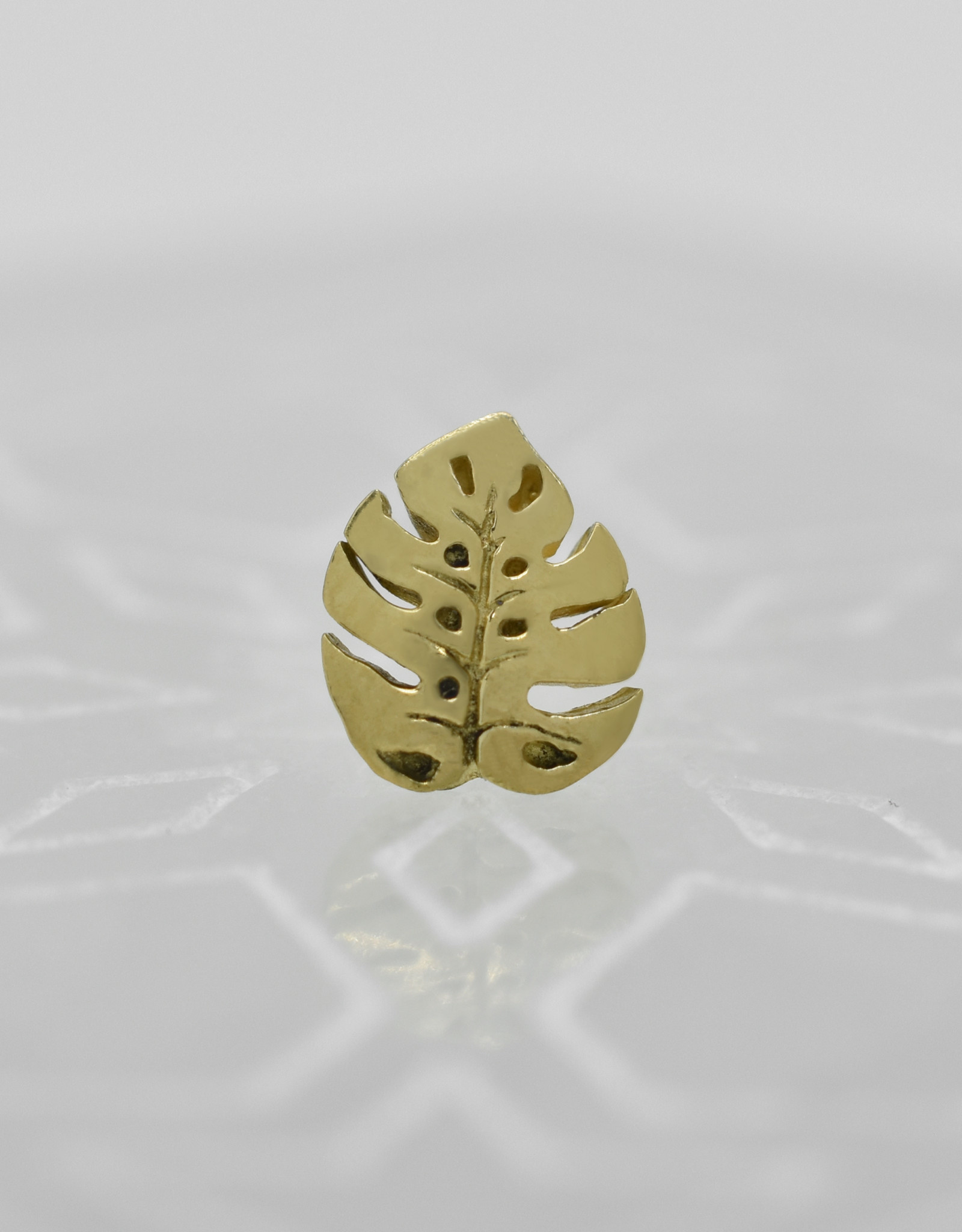 Regalia Regalia Monstera Duchess YG