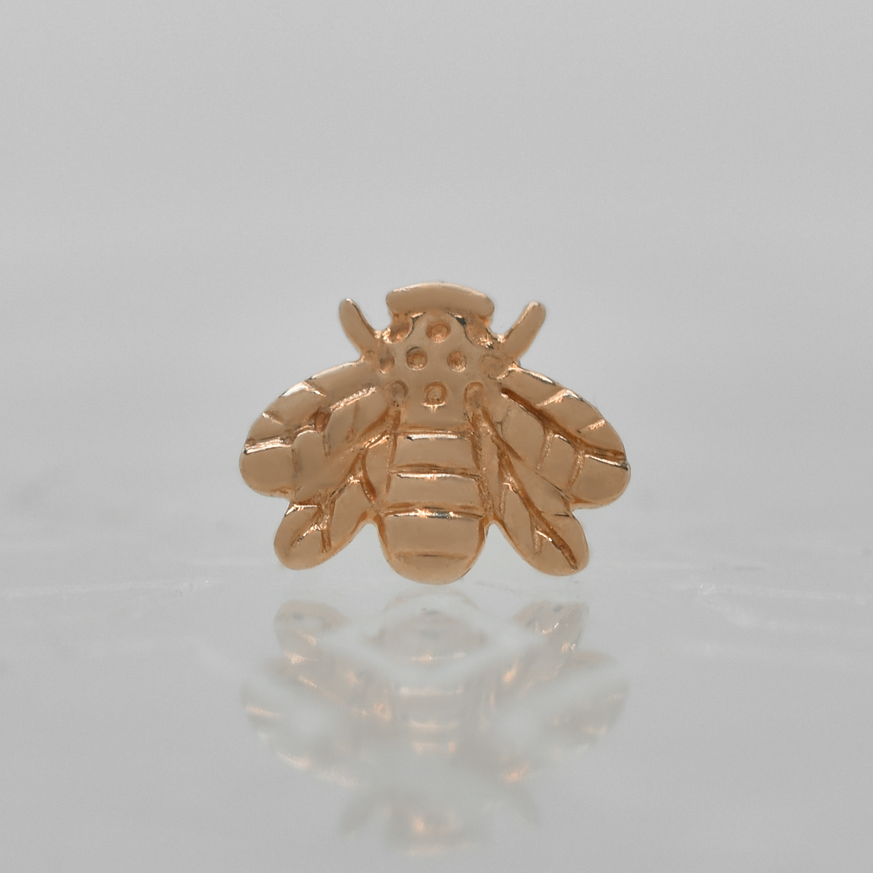 junipurr bee