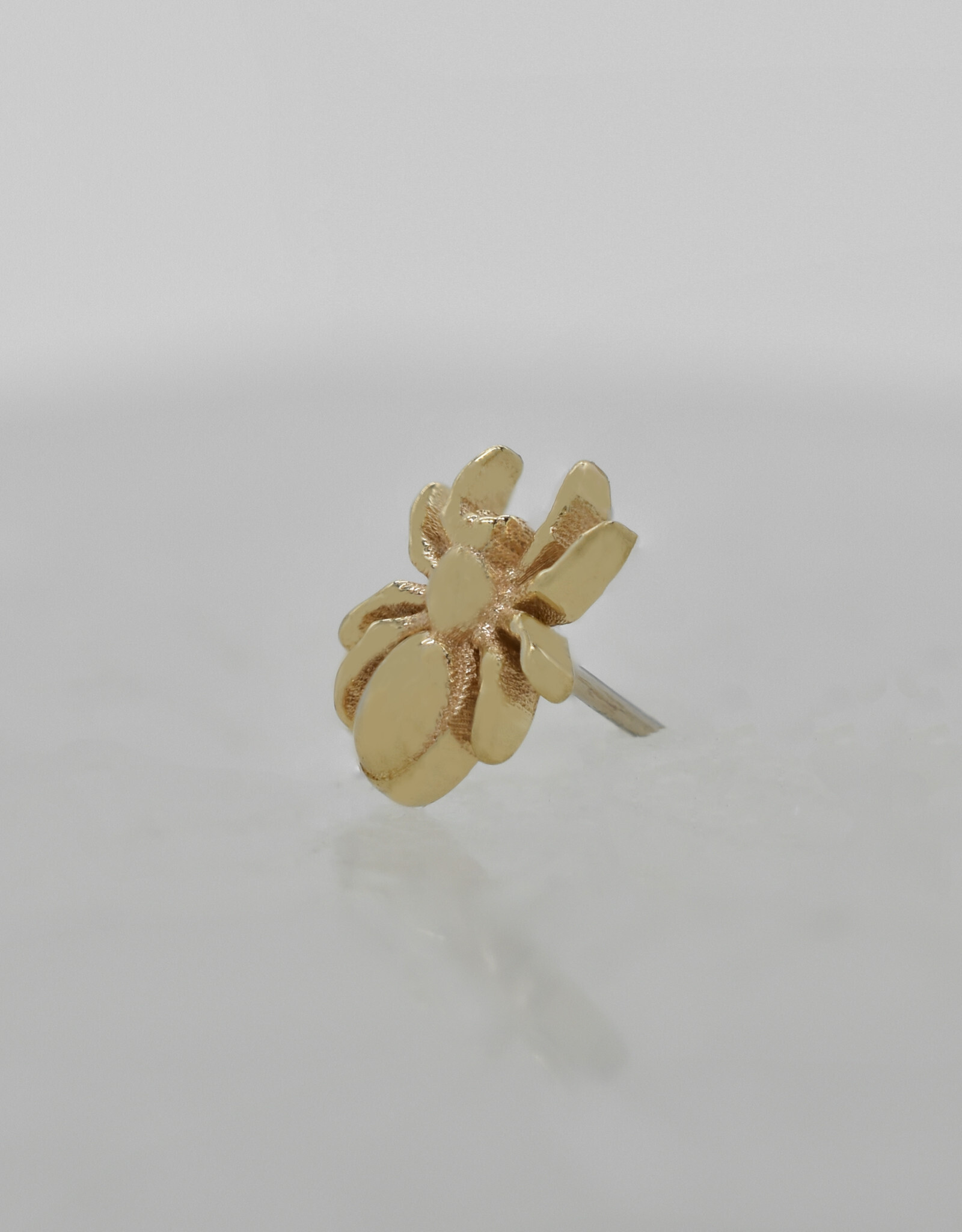 Mushroom Body Jewelry Mushroom Tarantula YG