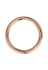 BVLA BVLA 18g Seam Ring RG