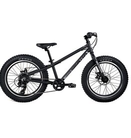 EVO EVO BIG RIDGE 20" Wheels Kids Bike Grey/Black