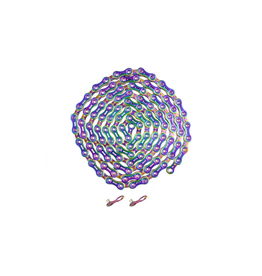 YBN YBN Chain Ti-Nitride 11 Speed SLA110 116 Links Rainbow