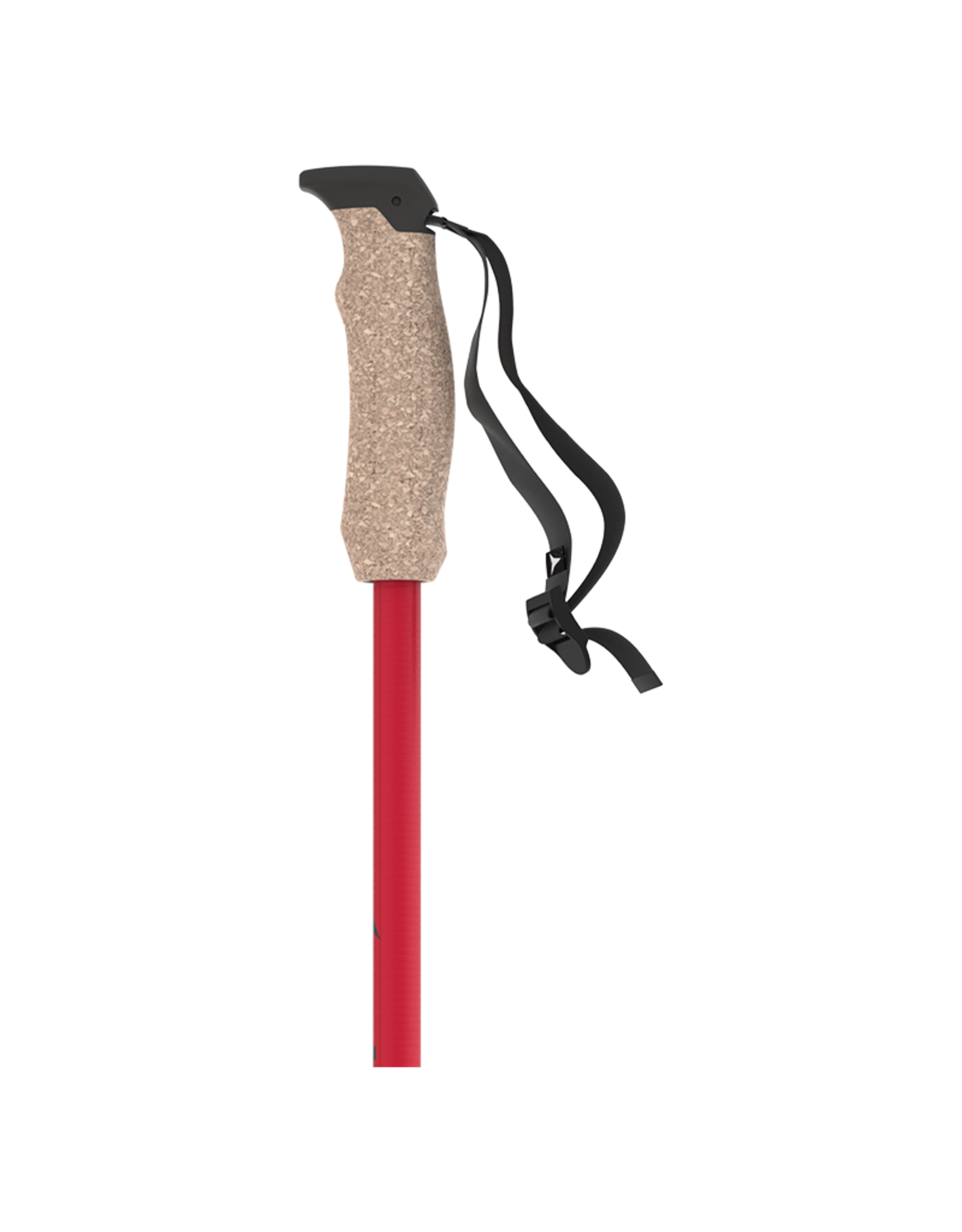 ATOMIC ATOMIC AMT CARBON Ski Poles