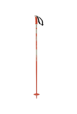 Salomon SALOMON STEEP Ski Poles