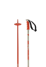 Salomon SALOMON STEEP Ski Poles