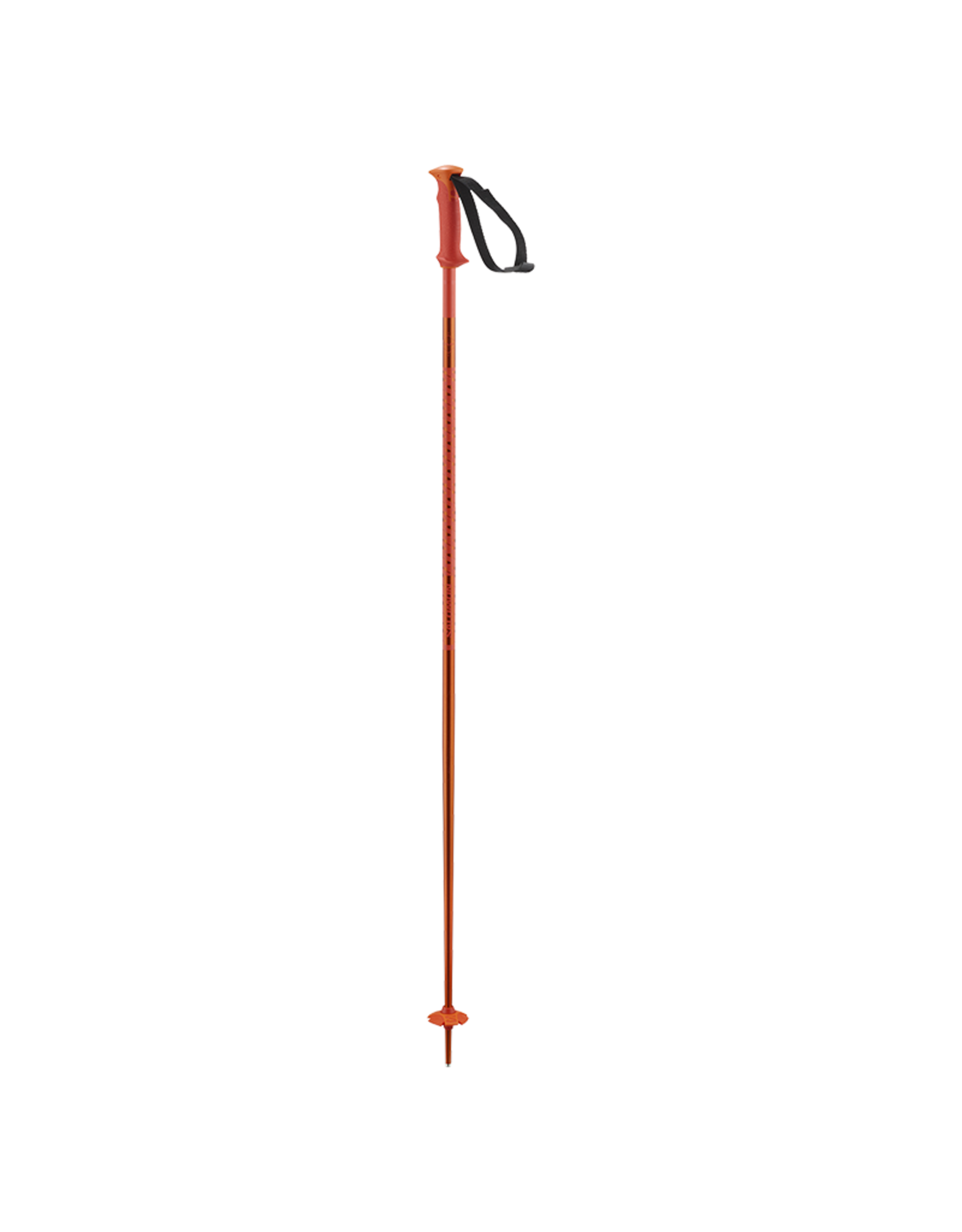 Salomon SALOMON POLAR Ski Poles