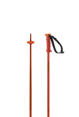 Salomon SALOMON POLAR Ski Poles
