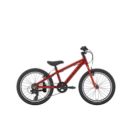Marin MARIN DONKY JR. 20" 6-Speed