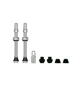 Muc-Off Muc-Off V2 Tubeless Valve Kit Pair 44mm Silver