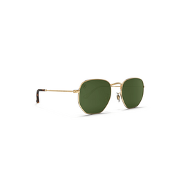 BLENDERS Eyewear BLENDERS HEXAGRAM Whiskey Shiner Gold/Smoke Polarized