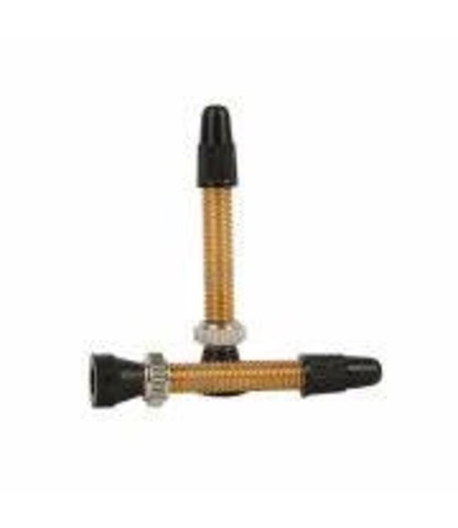 JOES Tubeless Presta Valve Pair 48mm