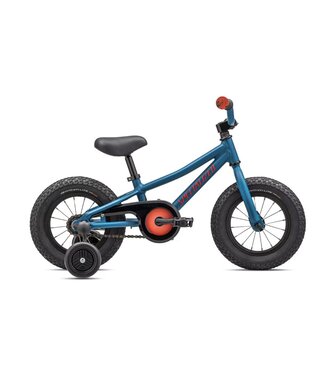 Specialized Riprock Coaster 12