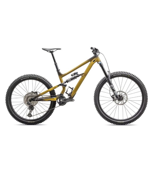 Specialized Status 170 2