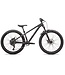 Specialized P.2 Trail