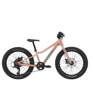 Cannondale Kids Trail Plus + 20 Salmon