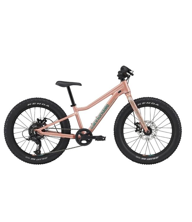 Cannondale Kids Trail Plus + 20 Salmon