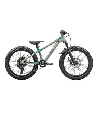 Specialized P.1 Trail 20"
