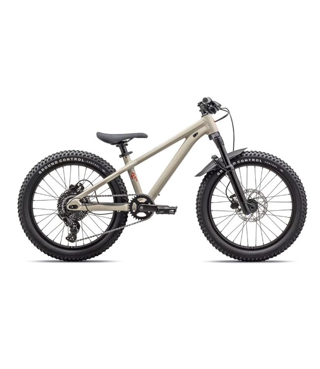 Specialized P.1 Trail 20"