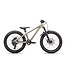 Specialized P.1 Trail 20"