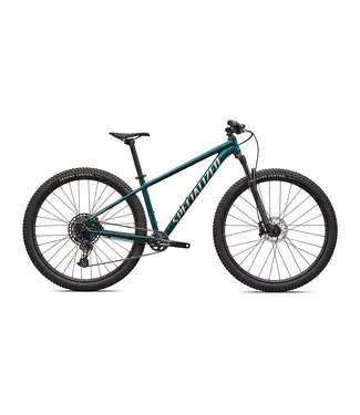 Specialized Rockhopper Expert