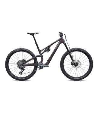 Specialized Stumpjumper 15 EVO Expert AXS