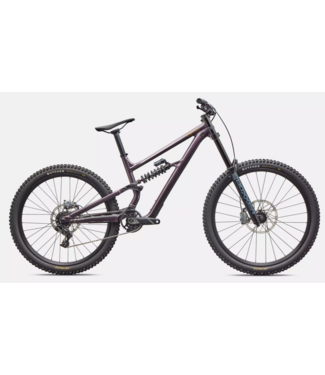 Specialized Status 2 DH