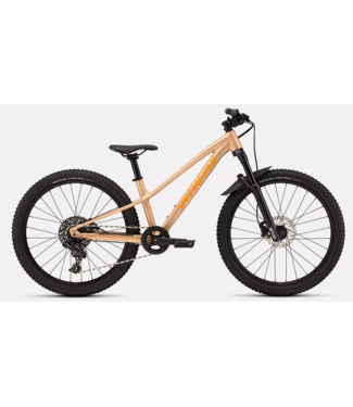 Specialized Riprock Comp 24 Gloss Photon Tint Over Flake Silver / Orange Zest