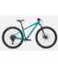 Specialized Rockhopper Comp