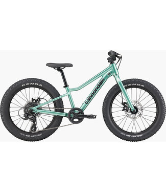 Cannondale Kids Trail Plus 20