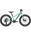 Cannondale Kids Trail Plus 20