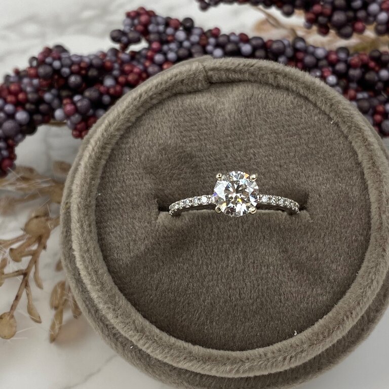 Expressions Jewelers Whisper Thin Diamond Engagement Ring