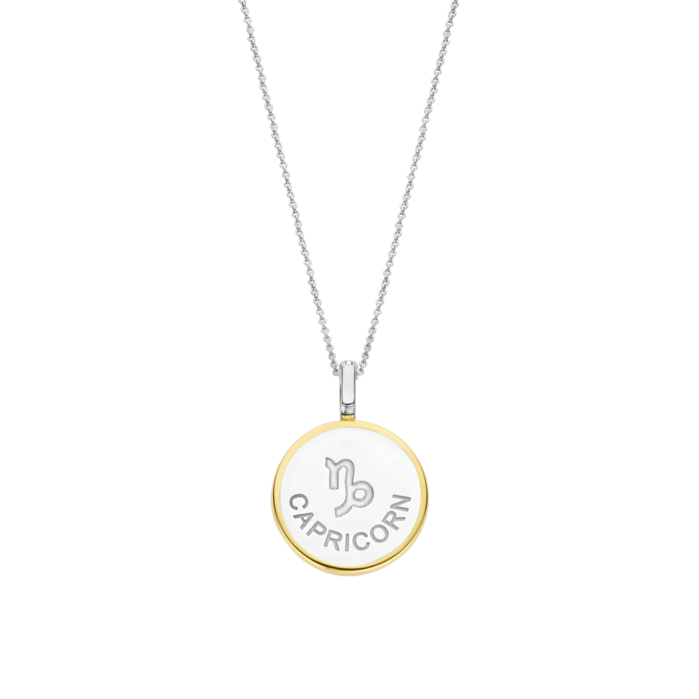 Ti Sento Zodiac Pendant Capricorn