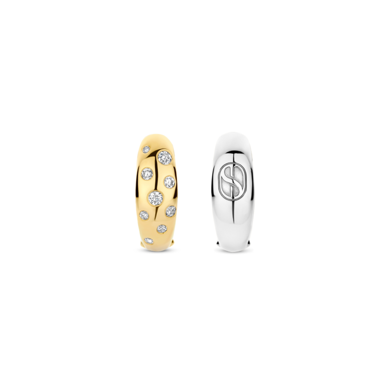 Ti Sento White Stardust Earrings