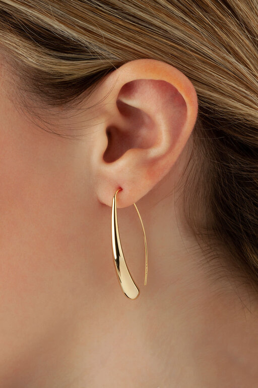 Carla Gold Long Teardrop Hook Earrings