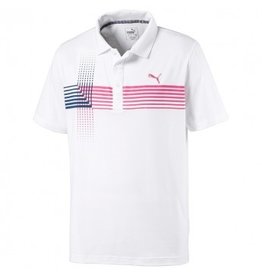 Puma Coaster Polo