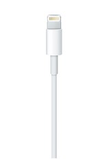 Apple Apple USB-C to Lightning Cable (2 m)