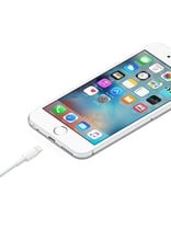 Apple Apple USB-C to Lightning Cable (1 m)