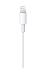 Apple Apple USB-C to Lightning Cable (1 m)